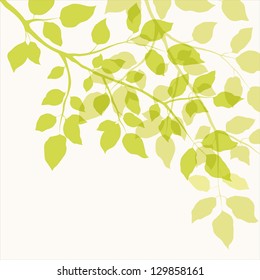 Branch with green leaves. Floral background
