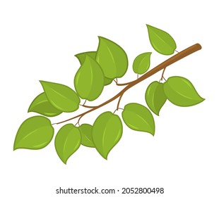 branch with green leaves. garden concept. vector illustration isolated on white background