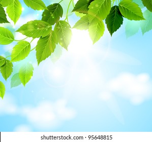 branch with green leaves hanging from the tree