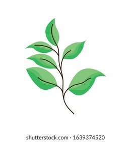 branch with green leaves isolated over white background. vector illustration