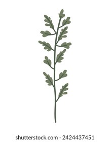Branch with green leaves and long stem. Vector botanical illustration, icon, logo, on a transparent background, hand drawn.
