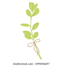 Zweig mit grünen Blättern und Seil. Vektorgrafik.
