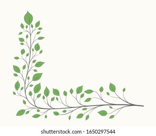 A branch with green leaves in the shape of a corner isolated on a light background