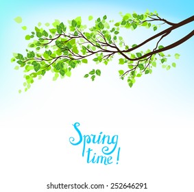 Branch with green leaves under blue summer sky.