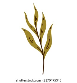 Verzweigung mit grünen Blättern Vektorsymbol. Handgezeichnete Feldpflanze einzeln auf weißem Hintergrund. Perücke eines Waldbaums, flacher Cartoon-Doodle. Einfache botanische Skizze. Illustration von Wiesenkräutern