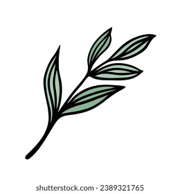 Branch with green leaves, vector icon. A twig of a forest or garden tree, shrub. Sprout, field or meadow plant. Hand drawn doodle, isolated botanical sketch. Bright floral clipart for posters, print