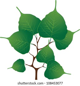 Branch with green leaves, vector illustration