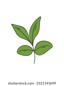 branch with green leaves, vector illustration