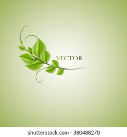 branch with green leaves , vector illustration