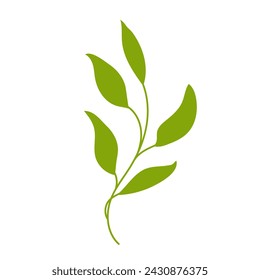 Branch with green leaves.A simple flat illustration