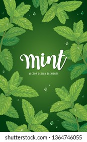 Branch of green mint leaves with dew drop on background template. Vector set of element for advertising, banner, packaging design of peppermint products.