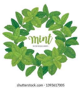 Branch of green mint leaves with dew drop on background template. Vector set of element for advertising, banner, packaging design of peppermint products.