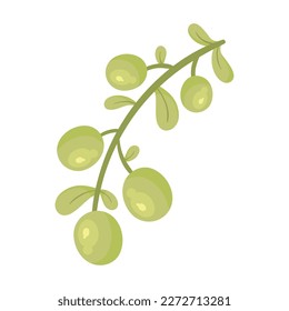 branch with green olive seeds icon
