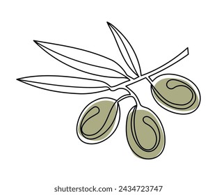 Branch with green olives drawn in one line. Vector illustration of Olives with a continuous line