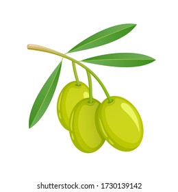 Branch of green olives with leaves on a white background, healthy food, vegetable harvest. Vector icon.