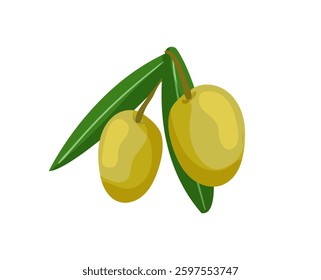 A branch with green olives and leaves on a white background, symbolizing natural and healthy Mediterranean products.