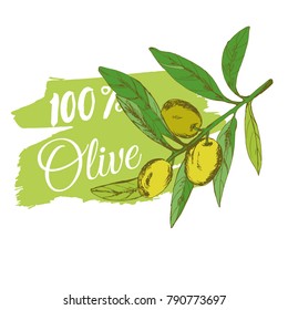 branch green olives, vector illustration hand-drawn logo of olives