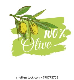 branch green olives, vector illustration hand-drawn logo of olives