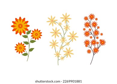 Branch of green plant with bright flowers. Botanical elements. Meadow, wildflowers and herbs. Hand drawn grass. Floral Herb Design elements. Spring botanical vector illustration