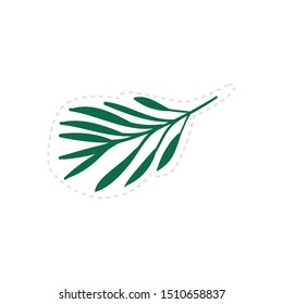 Branch of green plant or palm, olive tree sticker. Decorative botanical nature element for prints and cards flat vector illustration isolated on white background.