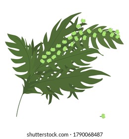
Branch of a green plant. Vector image on a white background. For decor