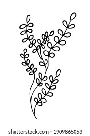 Ein Zweig mit handgezogenen Blättern. Doodle-Verzweigung. Vektorgrafik. Geeignet für Postkarten, Hochzeiten, Symbole, Aufkleber. Einzeln auf weißem Hintergrund. 