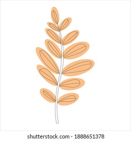 A BRANCH HAVING THIRTEEN LEAFS OF BROWN ROWAN  