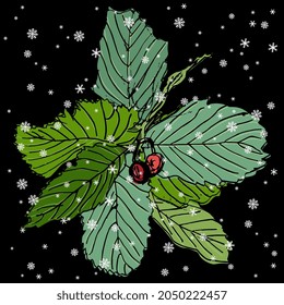 Branch of hawthorn tree with green leaves and ripe red berries under snowflakes. Seasonal design. Hand drawn colorful rough sketch. On black background.
