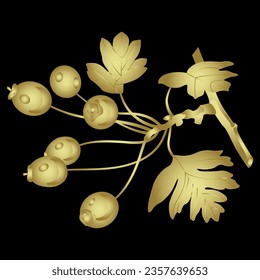 Branch of hawthorn tree with leaves and berries. Golden glossy silhouette on black background.