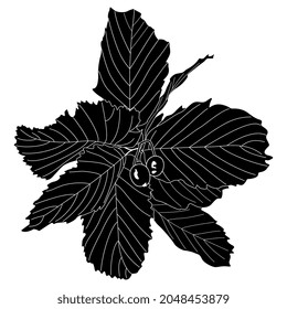 Zweig des Dornbaums mit Blättern und zwei Beeren. Schwarz-Weiß-Silhouette.