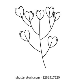 branch with hearts love