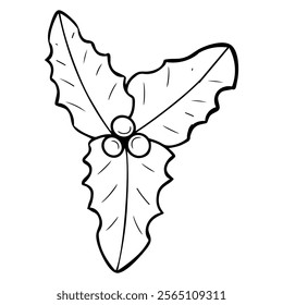 Branch holly coloring book hand drawn. Plant holiday bouquet. Leaves and berries. Merry Christmas. Celebration event. Winter nature. Vector line art illustration. Page for kids and adults.