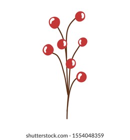 branch with holly fruits traditional christmas isolated icon vector illustration design