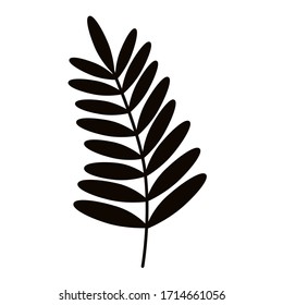 Branch. Home plant. Simple vector illustration.