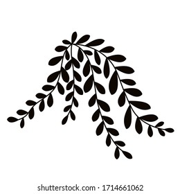 Branch. Home plant. Simple vector illustration.