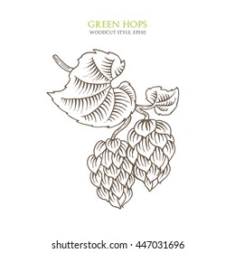 Branch Of Hops With Cones In A Woodcut Style. Vector Illustration.