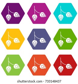 Branch of hops icon set many color hexahedron isolated on white vector illustration