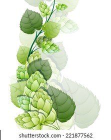 Branch of hops on a white background