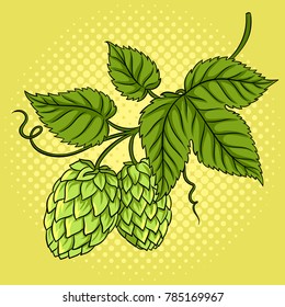 Branch of hops pop art retro vector illustration. Comic book style imitation.