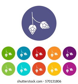 Branch of hops set icons in different colors isolated on white background
