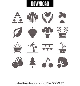 branch icon. 16 branch vector set. dove of peace, plant, leaf and raspberry icons for web and design about branch theme