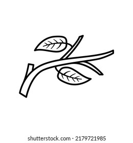 Branch icon with leaves in outline style