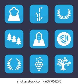Branch icon. set of 9 filled branch icons such as nest, grape, pine tree, bamboo, tree, olive branch, olive wreath