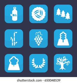 Branch icon. set of 9 filled branch icons such as nest, grape, oil, pine tree, bamboo, tree, olive wreath