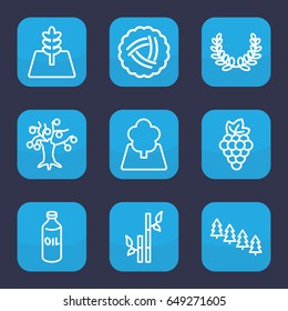 Branch icon. set of 9 outline branch icons such as nest, grape, oil, pine tree, bamboo, tree, olive wreath
