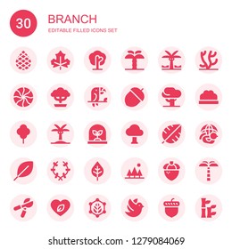branch icon set. Collection of 30 filled branch icons included Palm, Leaf, Tree, Palm tree, Mint, Bonsai, Toucan, Acorn, Laurel, Coral, Bush, Dove, Pruning shears, Bamboo