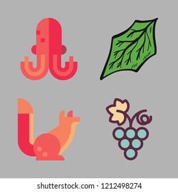 branch icon set. vector set about octopus, grapes, squirrel and leaf icons set.