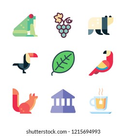 branch icon set. vector set about leaf, toucan, bank and grapes icons set.