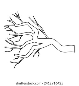 Branch icon vector. Tree illustration sign. Firewood symbol or logo.
