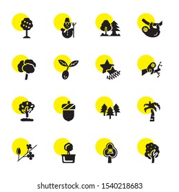 branch icons. Editable 16 branch icons. Included icons such as Fruit tree, Tree, Blossom, Palm tree, Trees, Acorn, sloth, Award Symbol, Olive, Sloth. branch trendy icons for web.